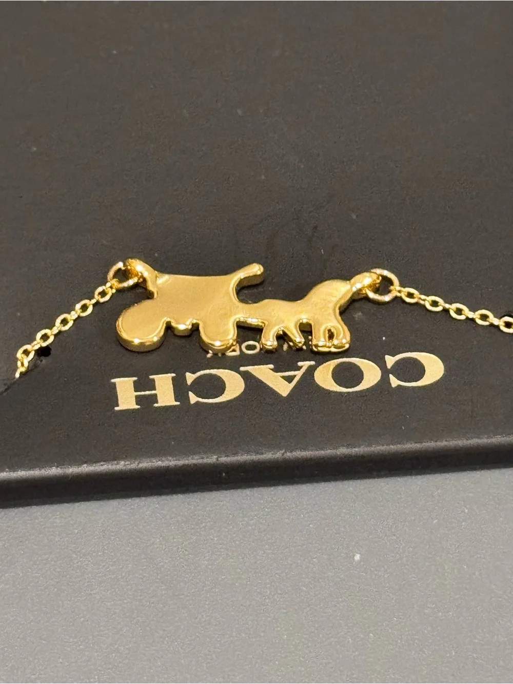 NWT Coach Gold Horse & Carriage Pendant Chain Necklace